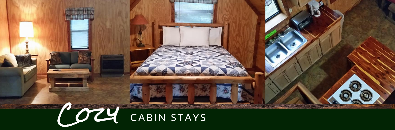 Cozy Cabin Stays